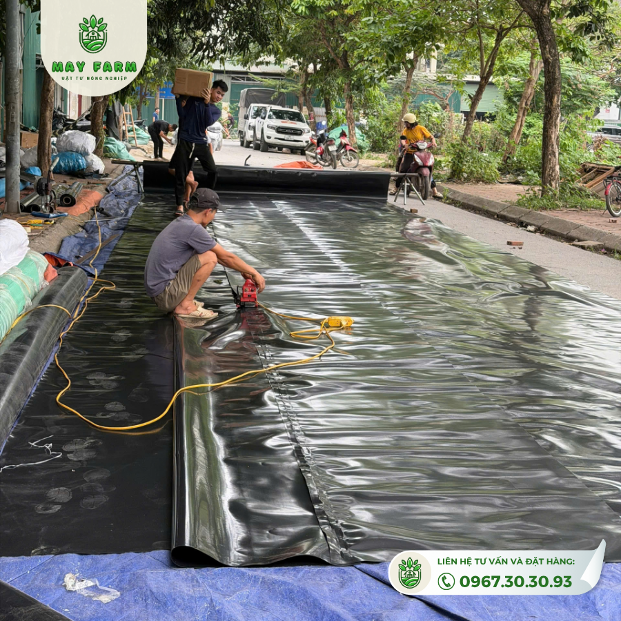 Gia công và hàn bạt HDPE tại Mayfarm