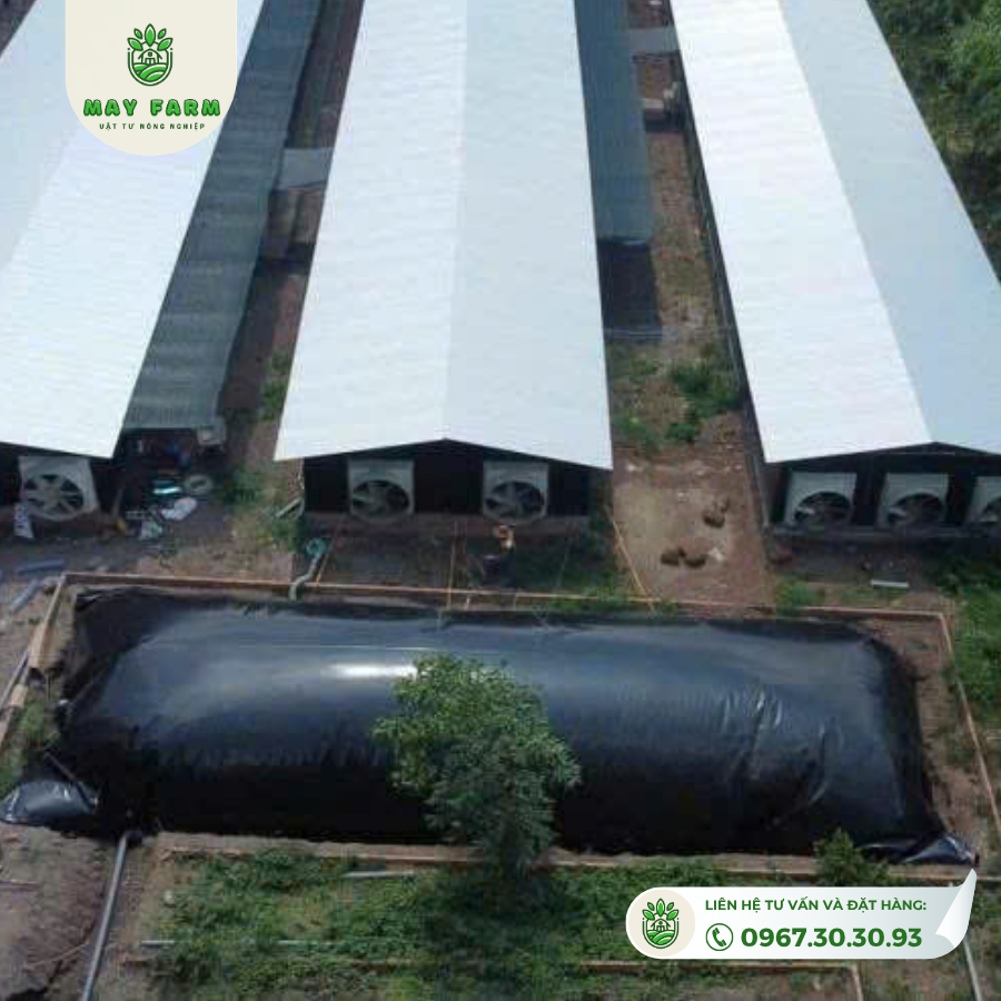 Túi Biogas HDPE thành phẩm của Mayfarm