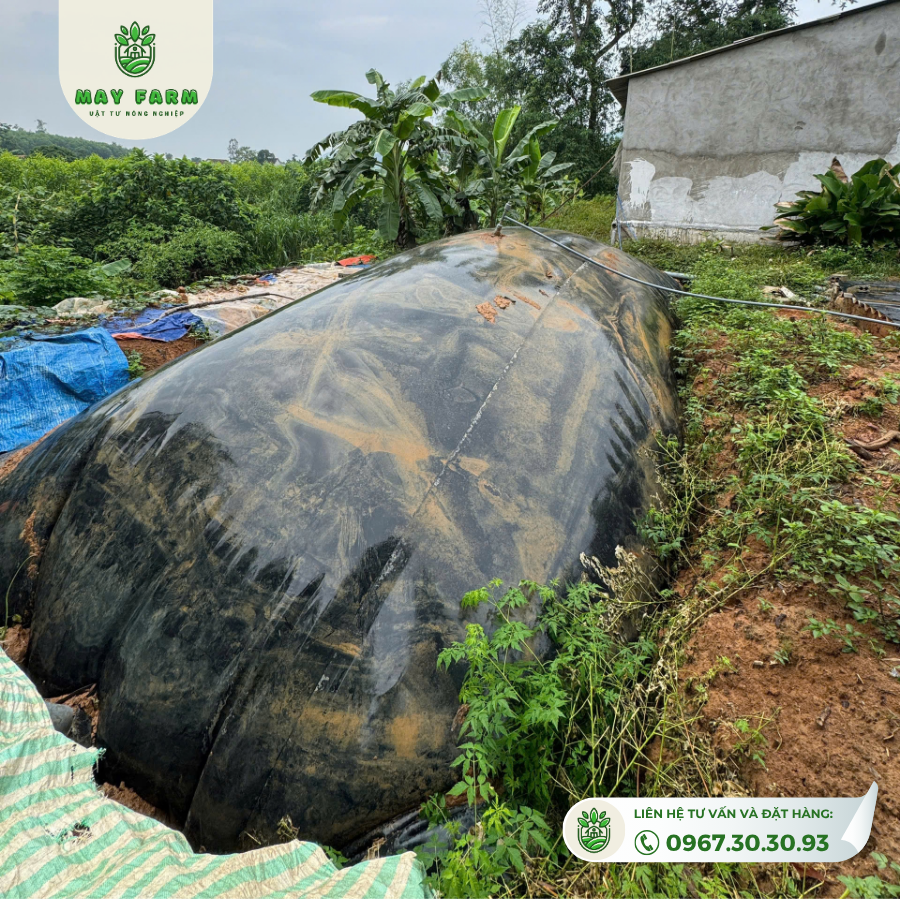 Hệ thống Biogas HDPE do Mayfarm triển khai