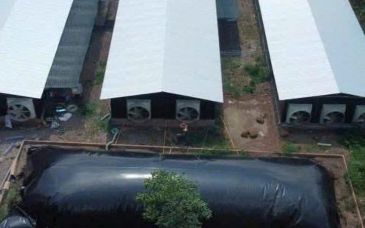 Hệ Biogas HDPE cho trang trại chăn nuôi