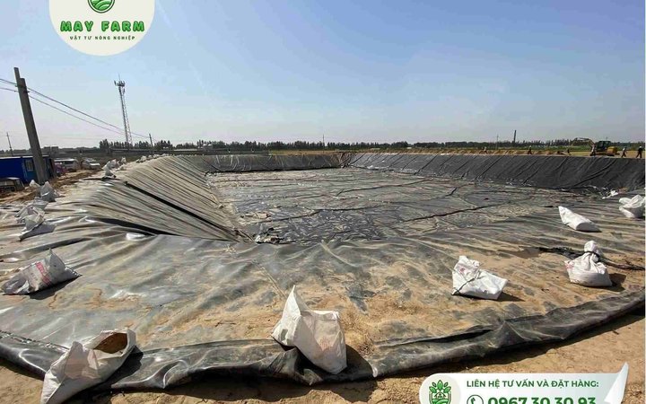 Ao nuôi trồng thủy sản lót bạt HDPE